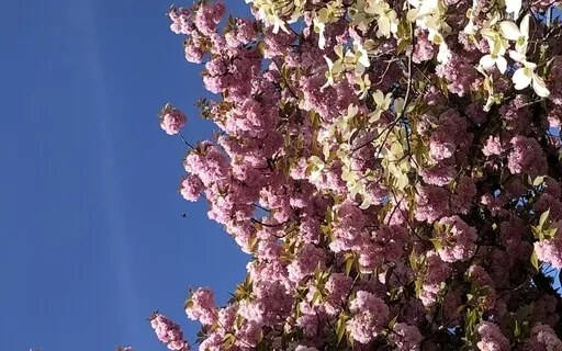 Spiritual Seasons: Responding With Prayer