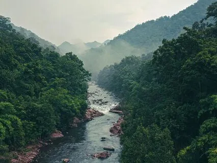 Spiritual Sleep Story: Shapeshifting Into The Beaver