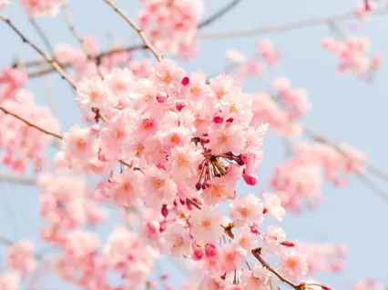 Spiritual Spring-Clean Meditation