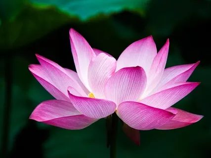 Spiritual Support: 5 Keys To Shifting Your Challenges