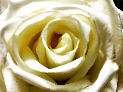 Spiritual Tools For A Better Life