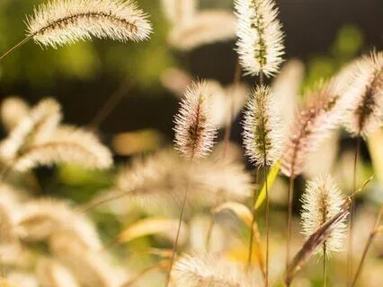 Spiritual Transformation : Time-Friendly Affirmations