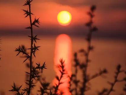 Spiritual Trap Song - Everything Aligns