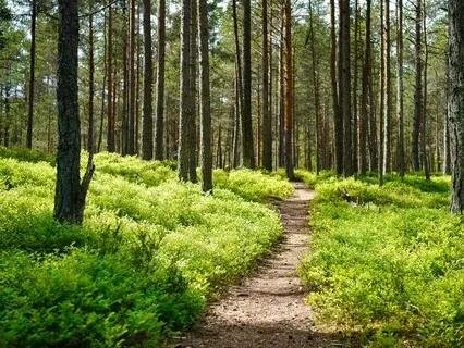 Spiritual Walk To Find Purpose in Life