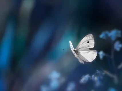 Spirituality, Religion & Metaphysics 