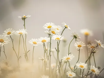 Spoken Love: You Are Worthy