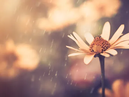 Spoken Word Heart Transmission For A New Earth