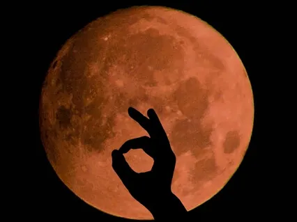 Спокойной Ночи