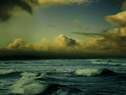 Forces Of Nature (Loop Track)