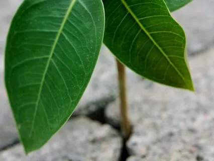 Spotting Strengths In Others (For Coaches And Non-Coaches)