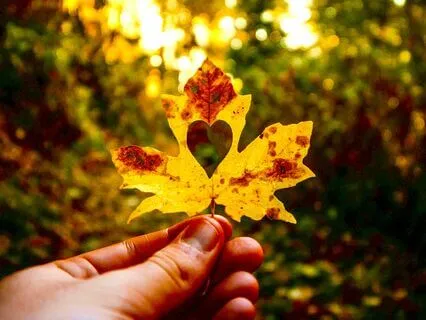 Spread Love: Guided Meditation