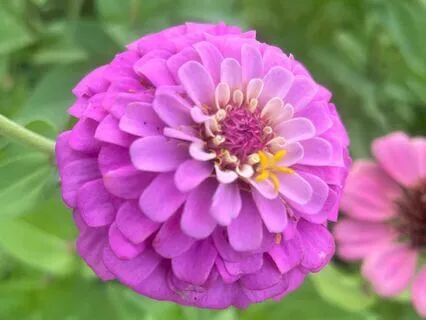 Spread Your Light Meditation