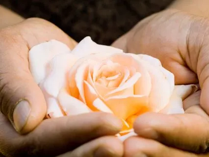 Spreading And Feeling Love