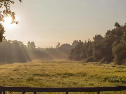 Spring Awakening: A Practice For Deep Rest