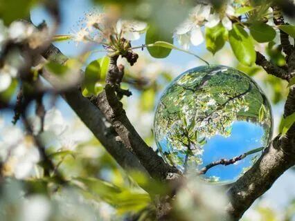 Spring Awakening Meditation