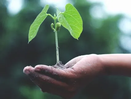 Spring-Balance Yoga Nidra