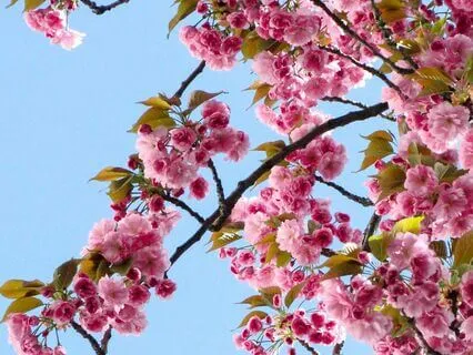 Spring Clean Your Mind, Chakras And Aura With The Angels