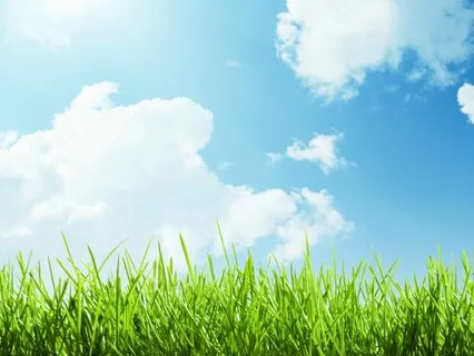 Spring Clean Your Mind - Wake Ending