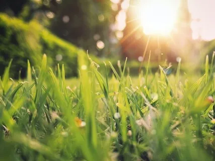 Spring Clean Your Mind