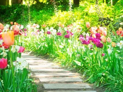 Spring Equinox Affirmation Subliminal (432 Hz)