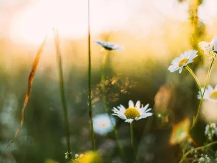 Spring Equinox Affirmative Prayer