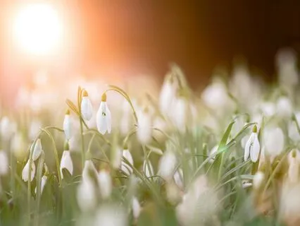 Spring Equinox Crystal Sound Bath