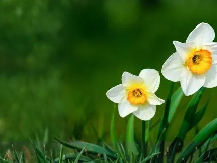 Spring Equinox Energy Reset: The Turning Point Begins