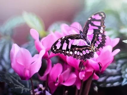 Spring Equinox Healing