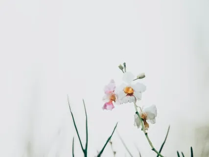 Spring Equinox Meditation