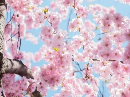 Spring Equinox Meditation | Planting Seeds For Growth