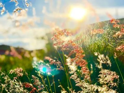 Spring Equinox Meditation: Release, Reset & Rebalance