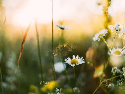 Spring Equinox Meditation