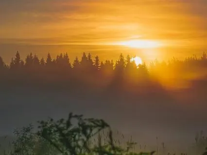 Spring Equinox Meditation