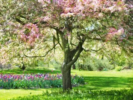 Spring Equinox Mindful Nature Walk