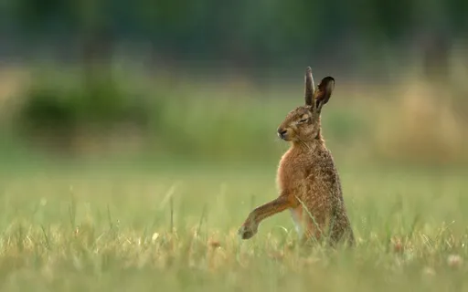 Spring Equinox Reflection