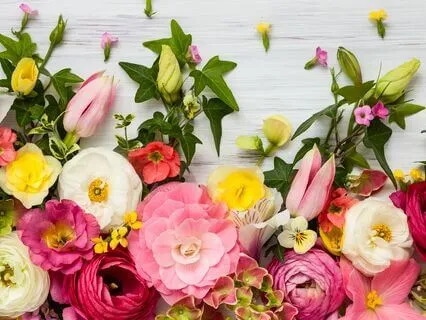 Spring Equinox Transmission: New Growth And Possibilities