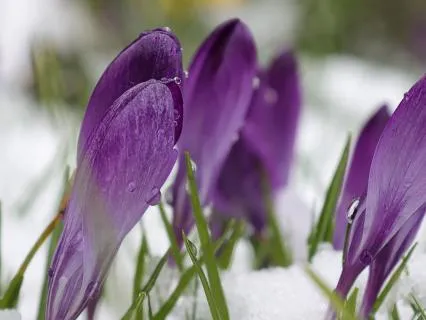 Spring Equinox - Way Opening Way Closing