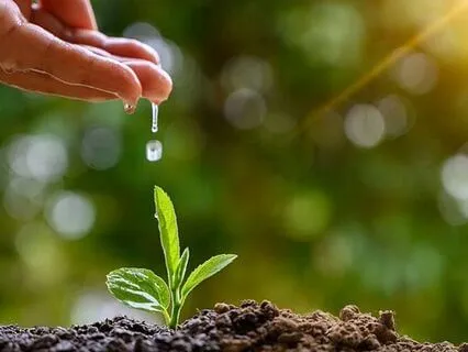 Spring Forth Meditation For Wellness & Sleep