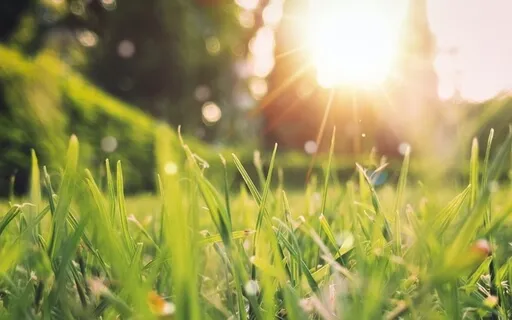 Spring Guided Meditation - Listening To Your Intuition