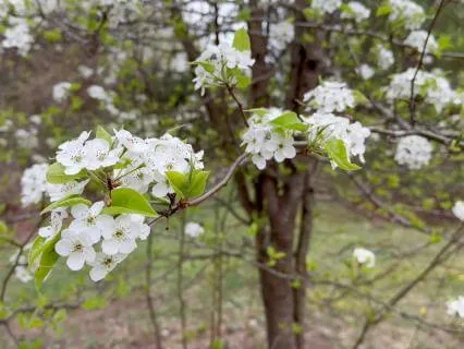 Spring Is Coming!