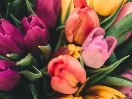 Spring Meditation For Fresh Starts & Renewal