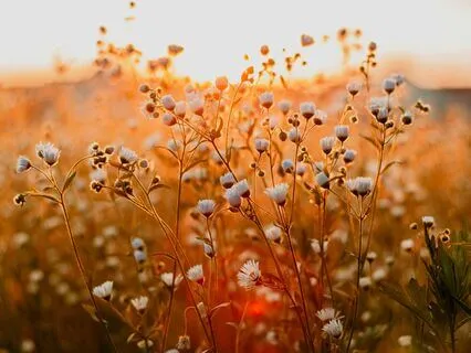 Spring Morning Minute