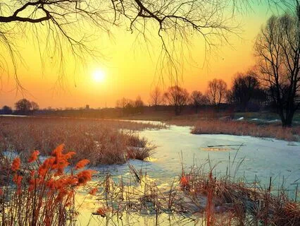 Spring Of Life | 432 Hz Ethereal Irish Flute