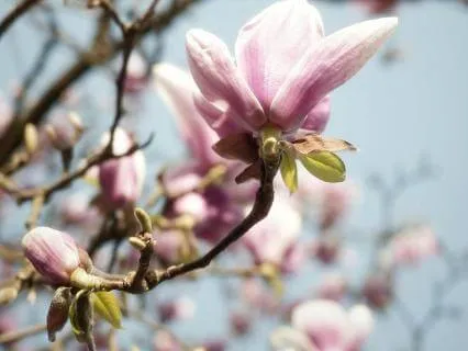 Spring Renewal Relax, Reset & Bloom