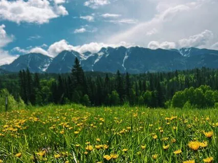 Spring Renewal- The New You