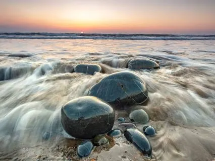 Spring’s Arrival: A Guided Practice For Gentle Growth