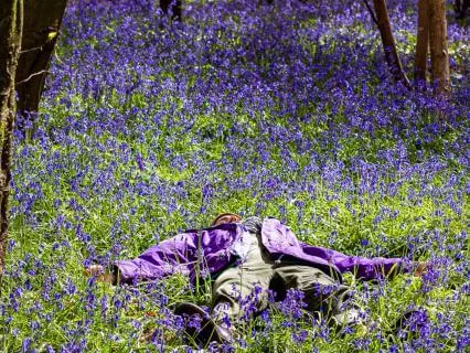 Spring Time Forest Bathing (Yoga Nidra)