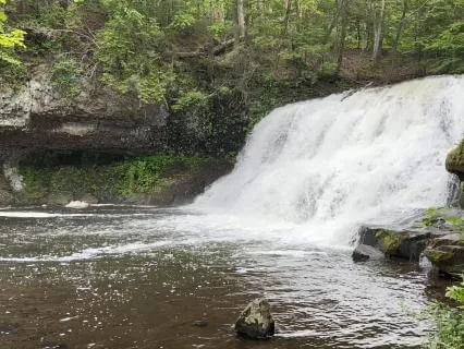 Spring Waterfall Soundscape