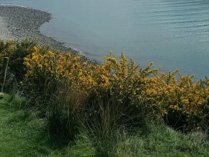 Springtime Is Here (A Short Poem)