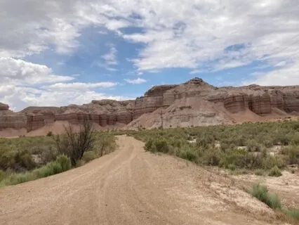 Springtime Rose: Native American Flute Music